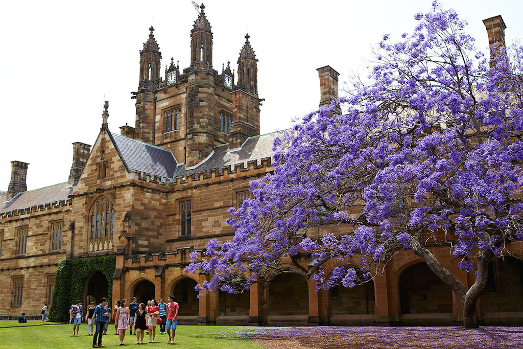 campus travel sydney