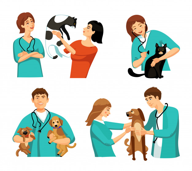 veterinary medicine career